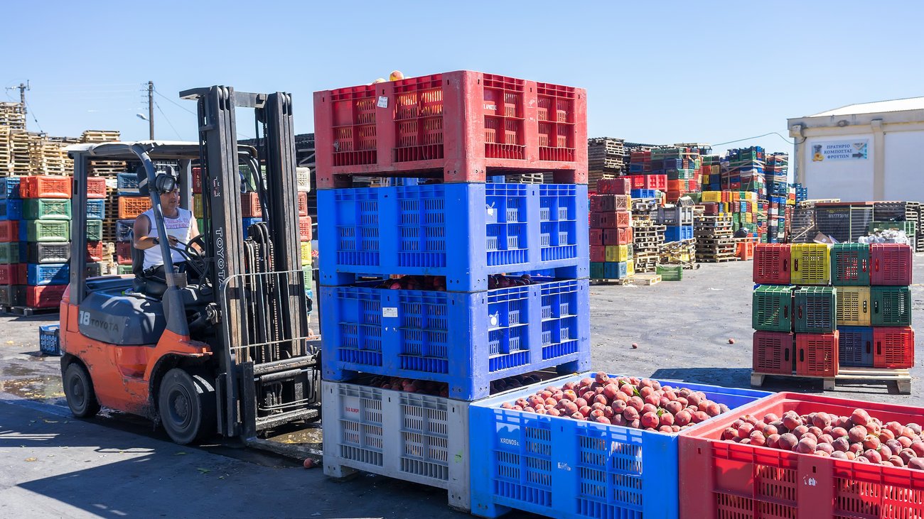 From India to Russia  Nilkanth Agri Impex Revolutionizing Dehydrated Products Export